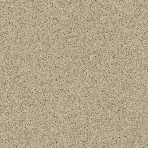 CLUB - Texture 2000 - Camel - Wall-to-wall