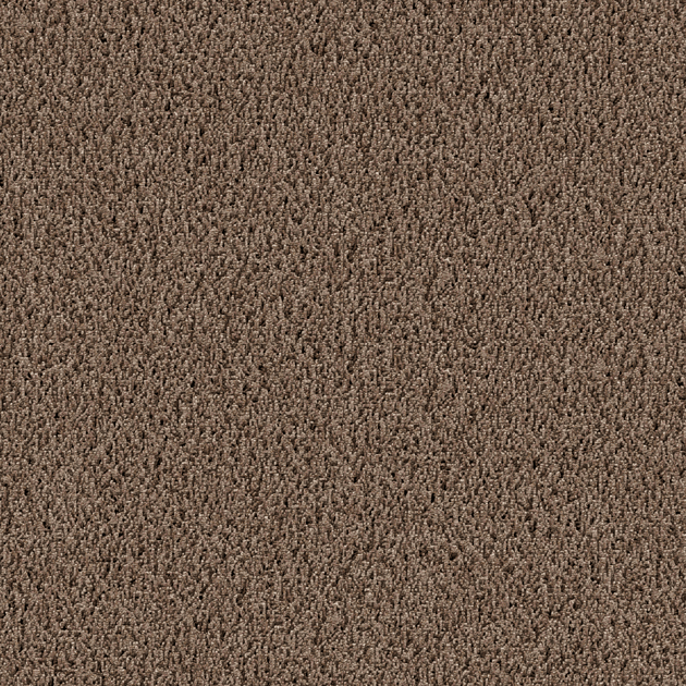 CLUB - Silky - Caramel - Teppichfliesen und Teppichplanken