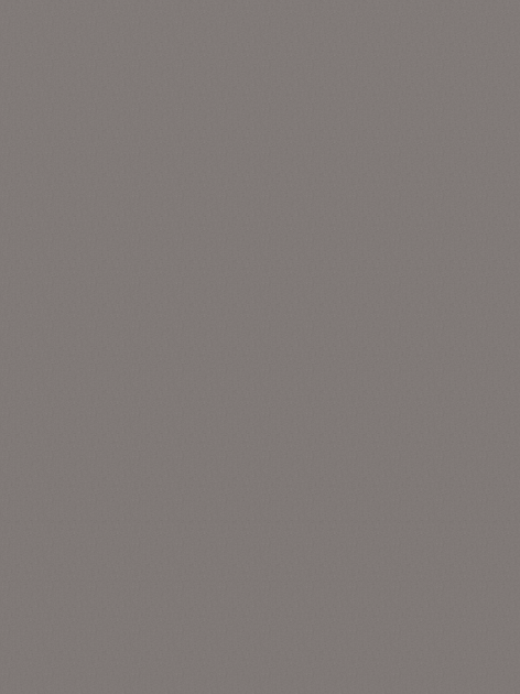 HIGHLINE - Mono - Grey - Dalles et planches de moquette