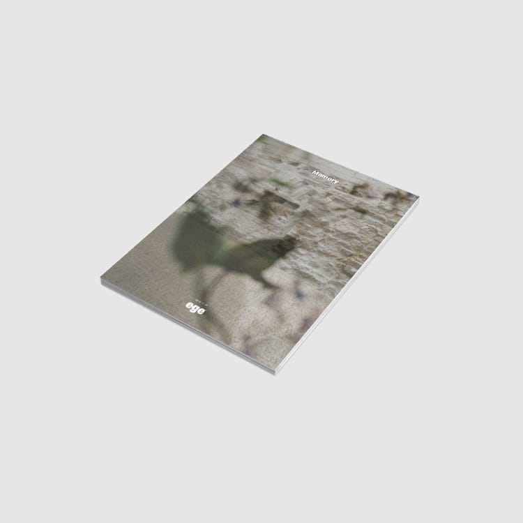 ReForm Memory brochure                                      