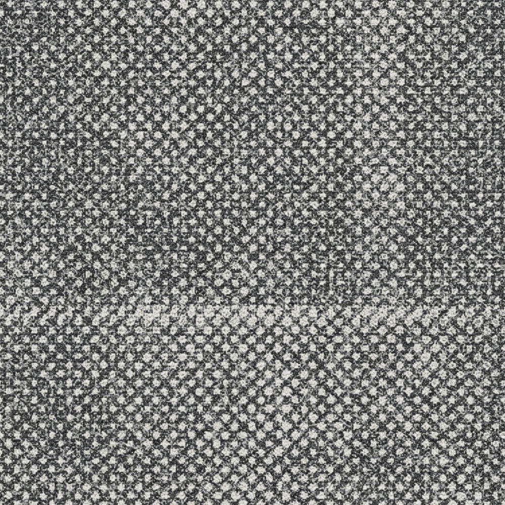 Seed Black 5520