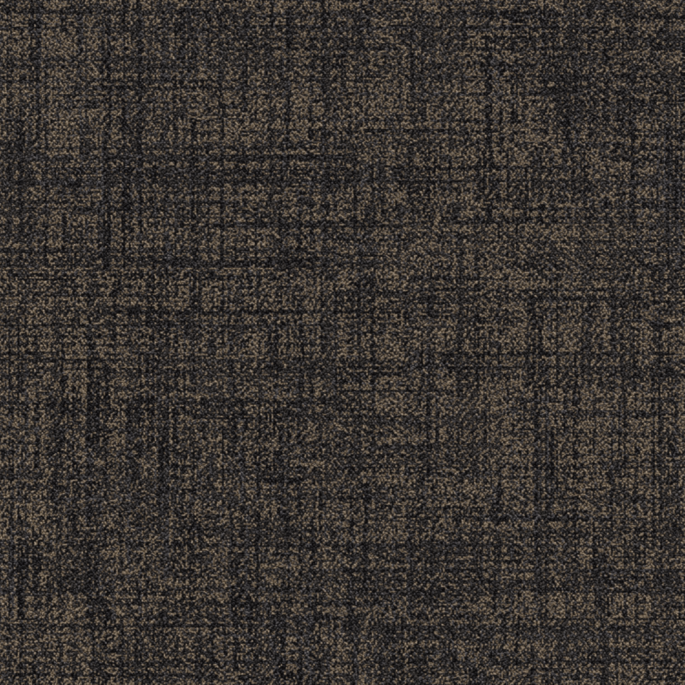 Calico Warm grey