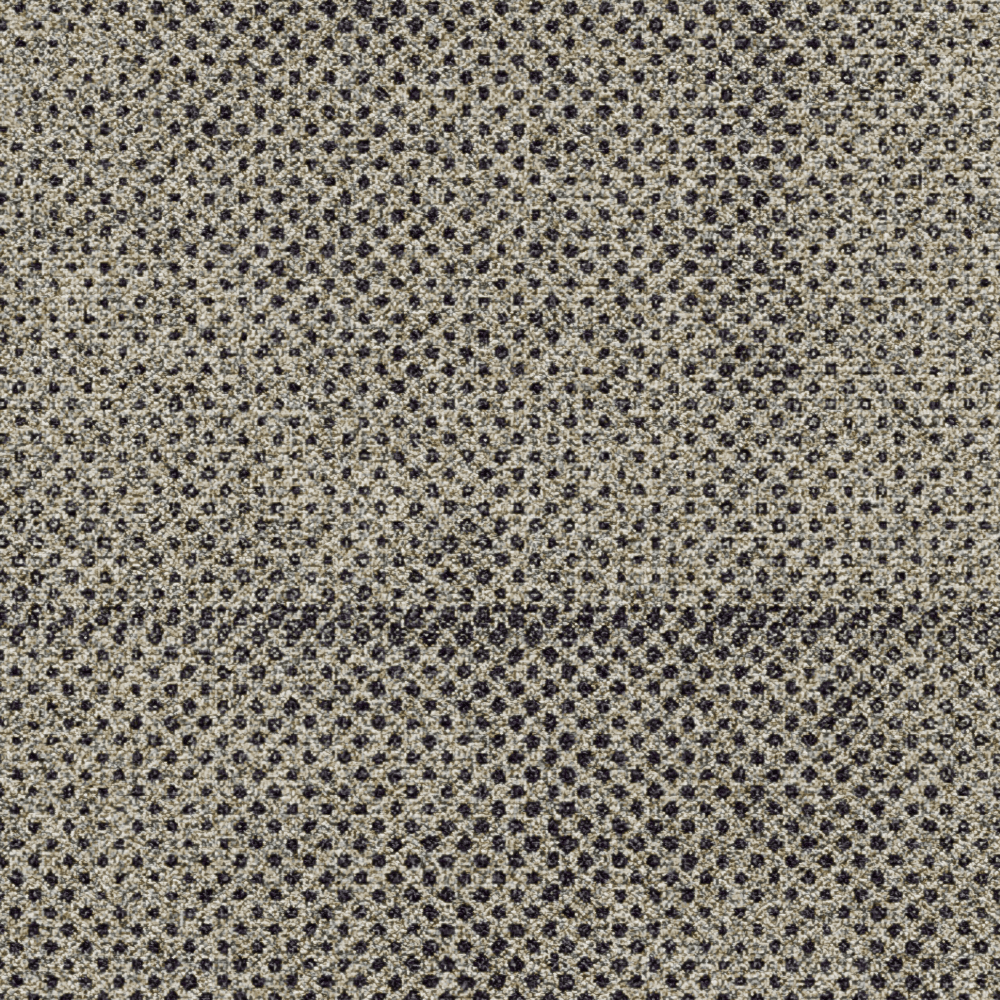 Seed Dark grey 5595