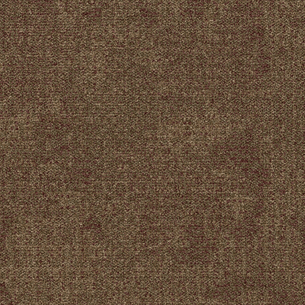 Golden 5595