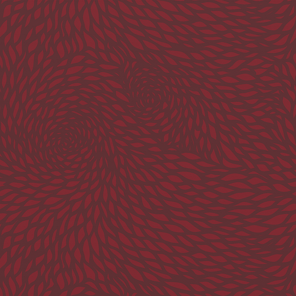 Chrysanthemum Bordeaux