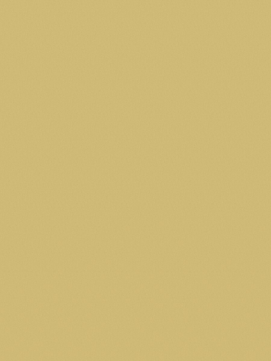 Mono 5520 Yellow