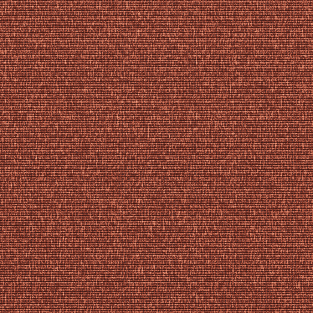 Compact Burnt umber