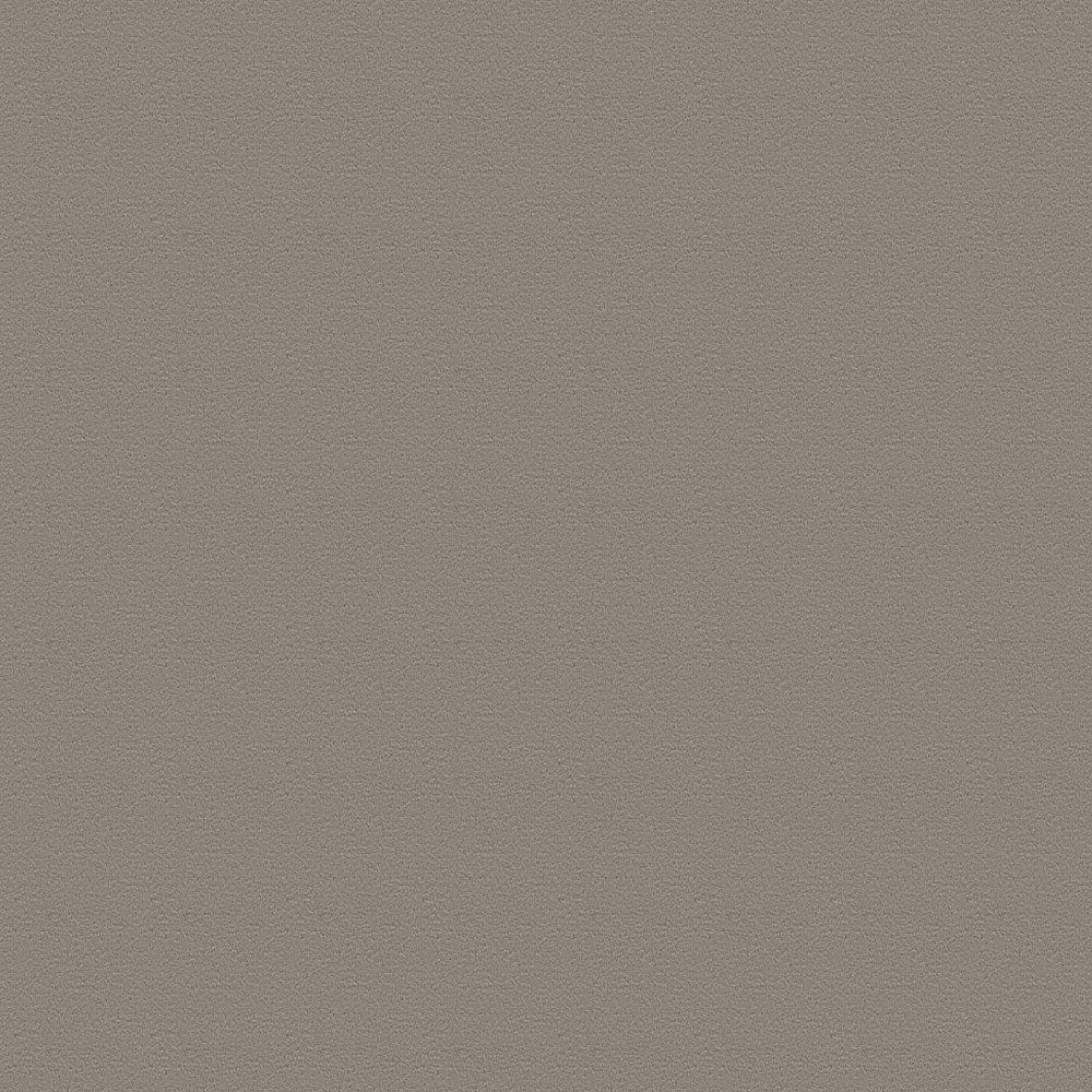 Mono 5595 Warm grey