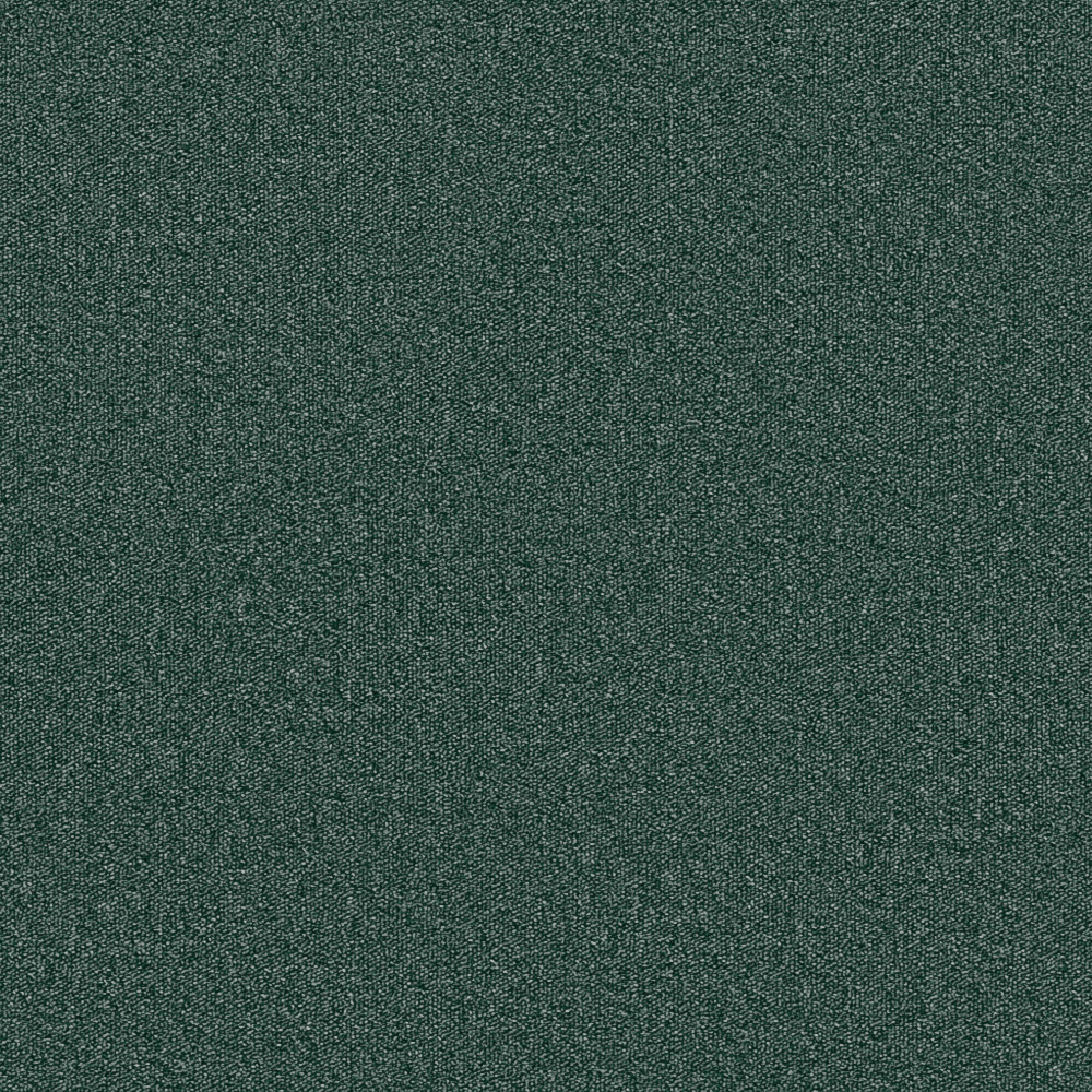 Tempo Teal