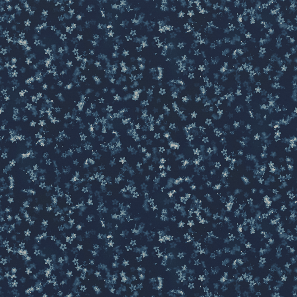 Elderflower Blue