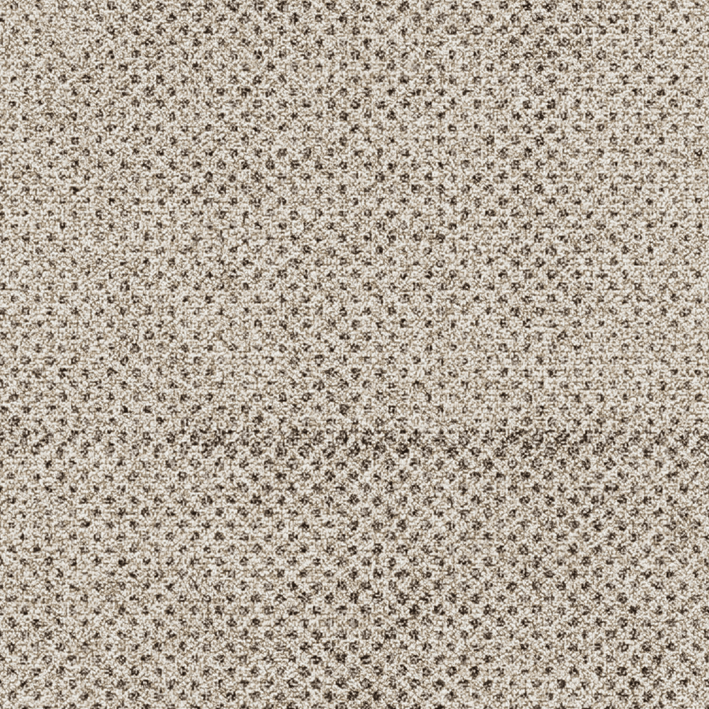 Seed Warm grey 5575