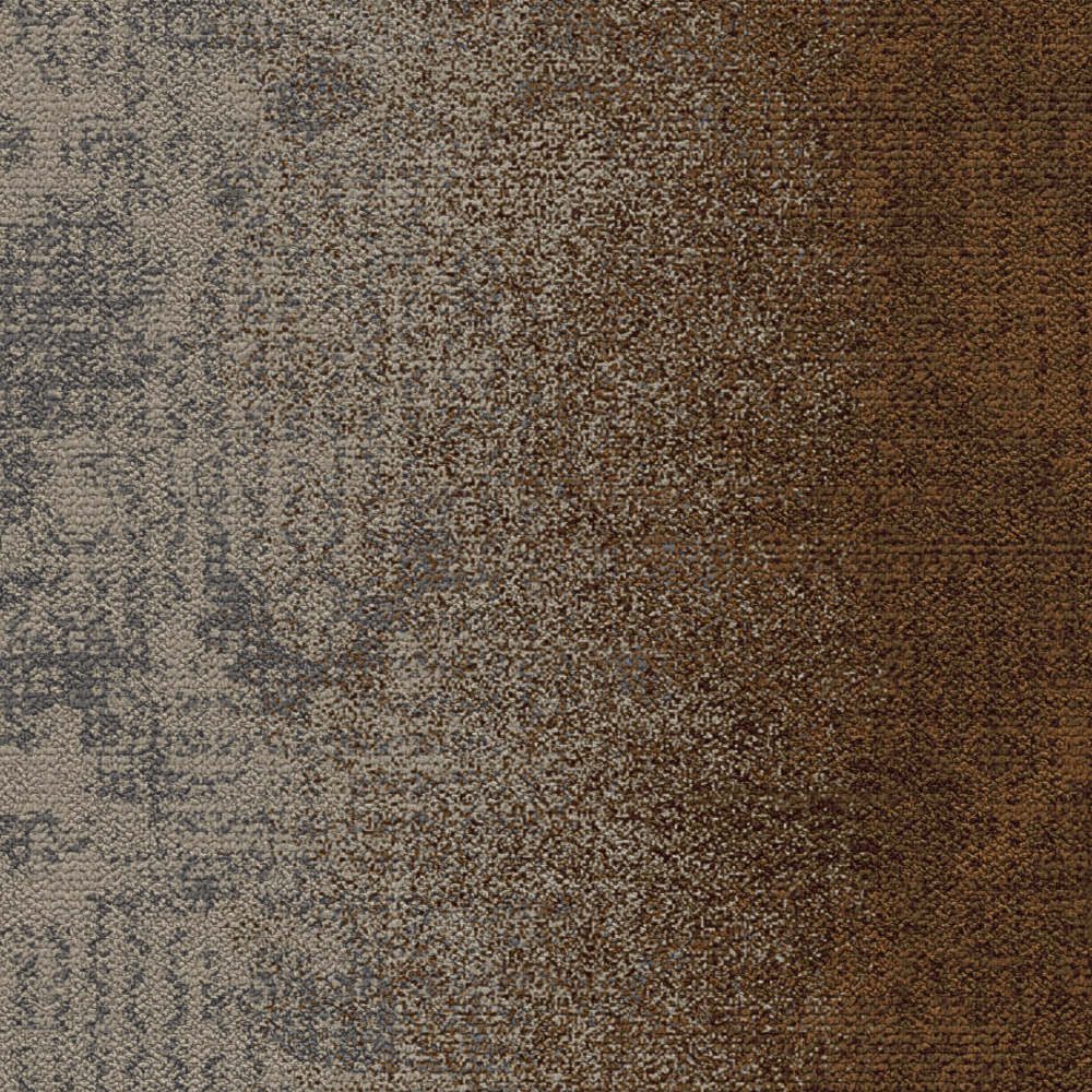 Warm grey/Golden 5595