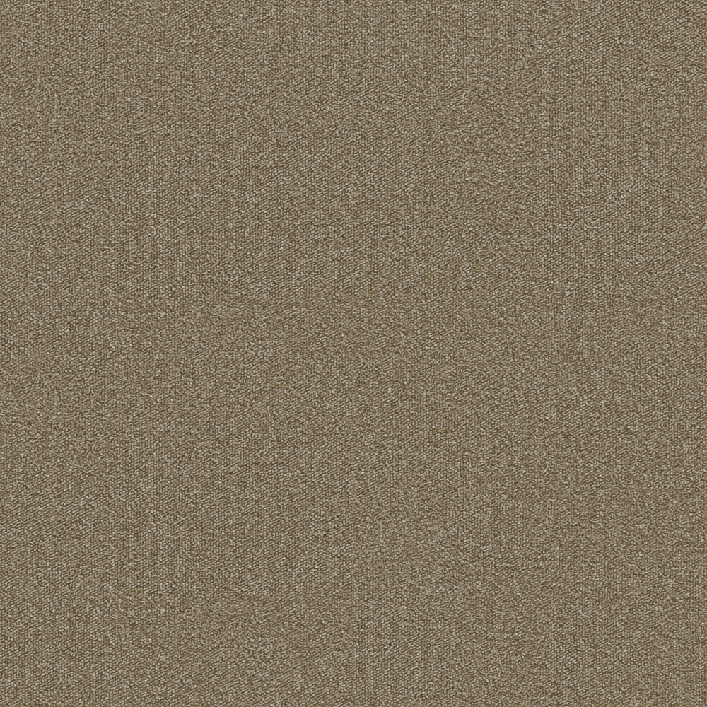 Tempo Dark beige