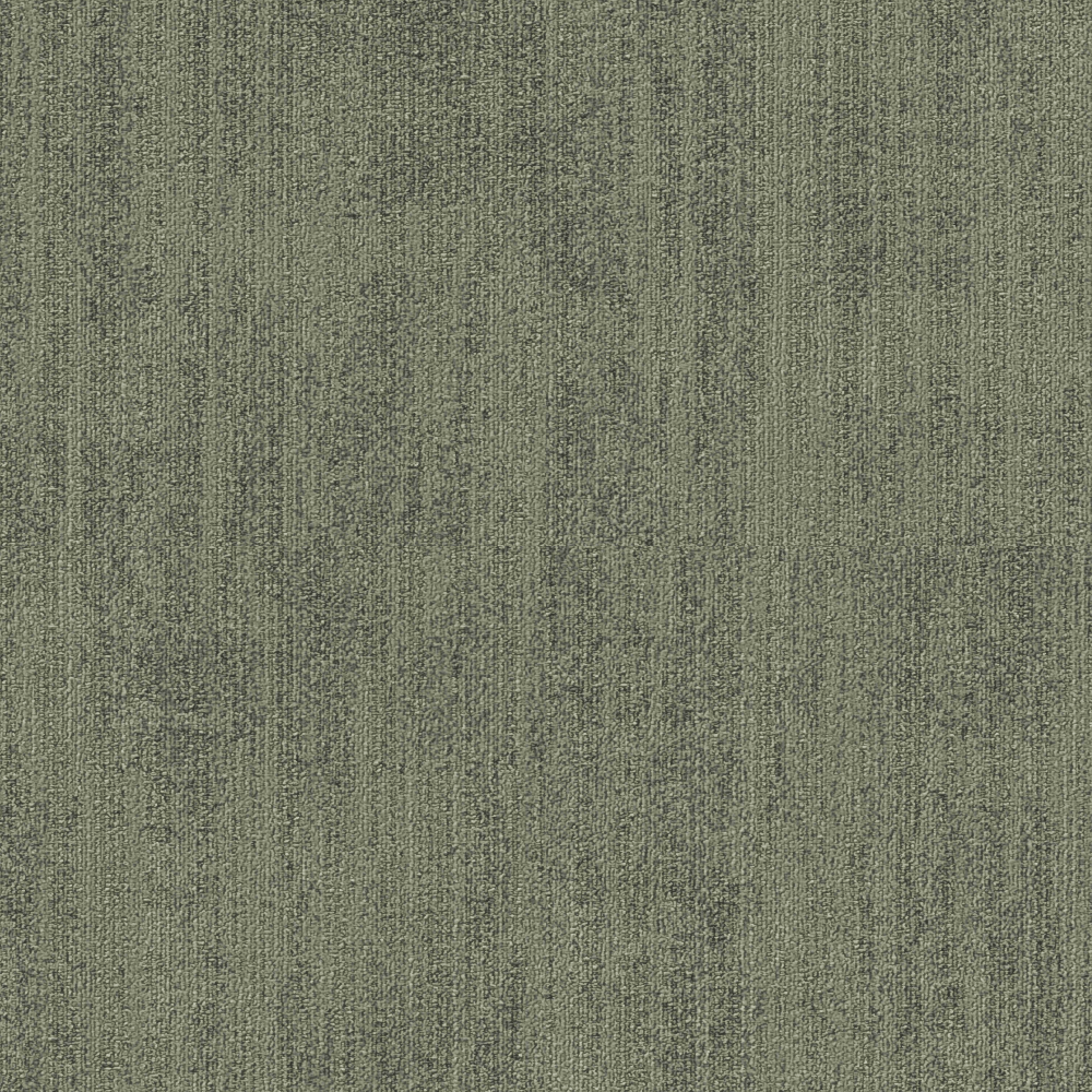 Umbra Olive
