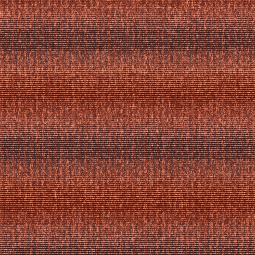Compact Burnt umber