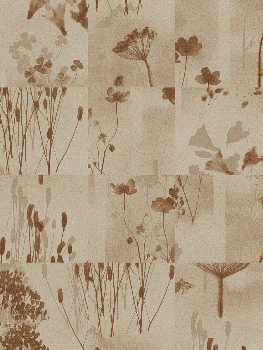 Meadow Beige