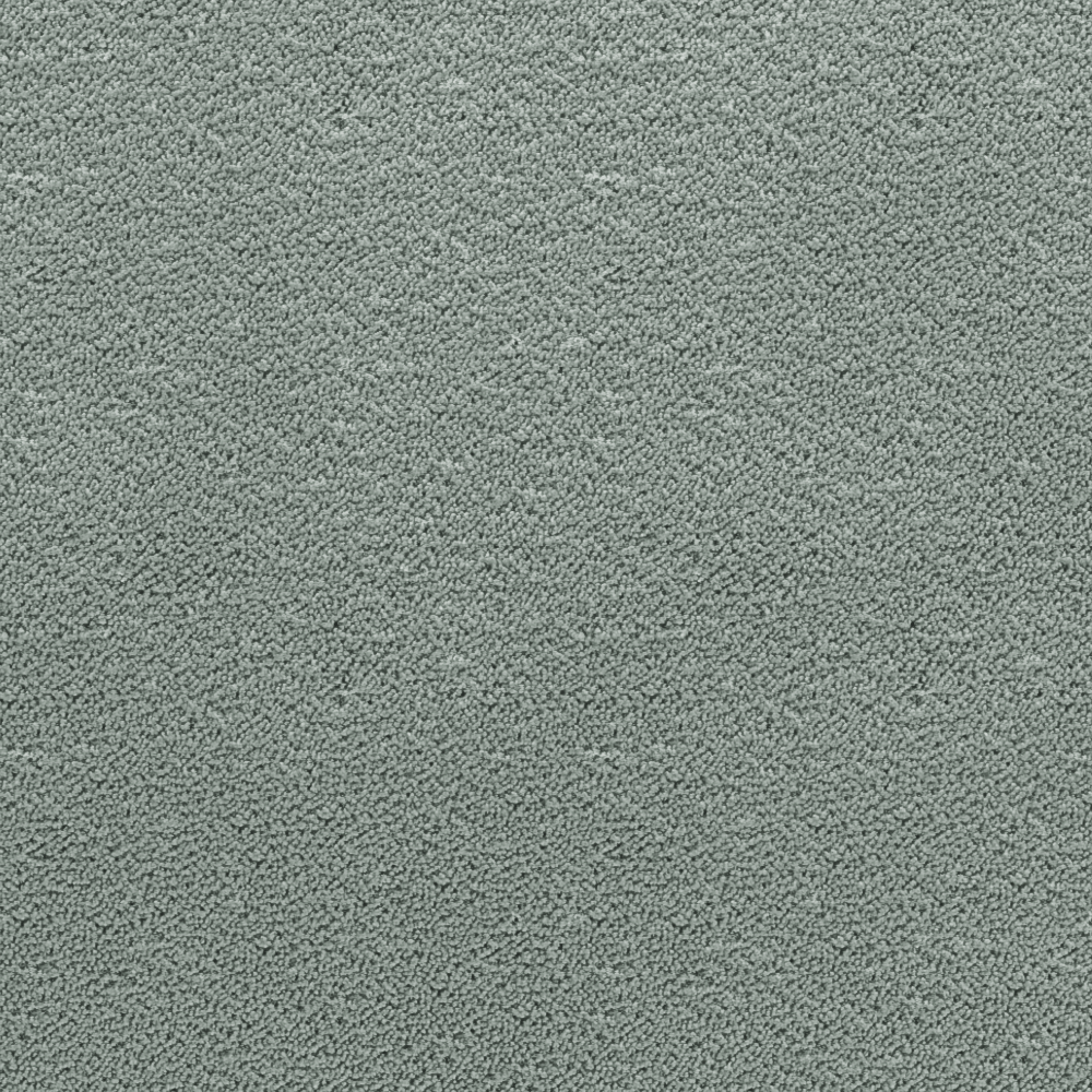 Moss Light grey