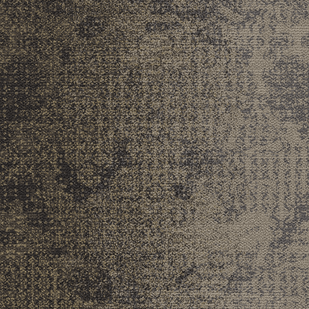 Olive stone/Warm grey 5595