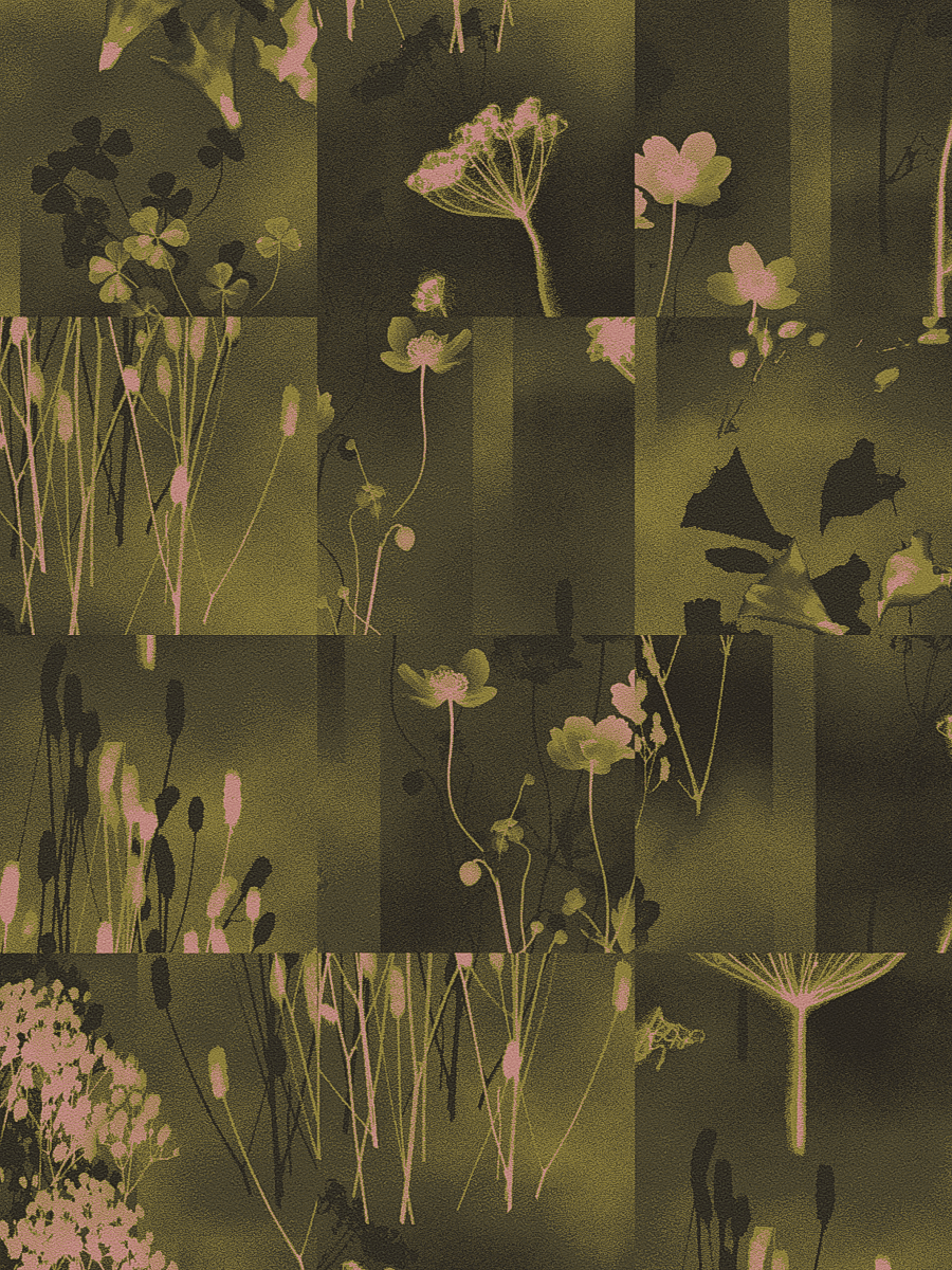 Meadow Green