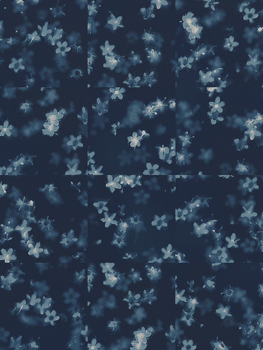 Elderflower Blue