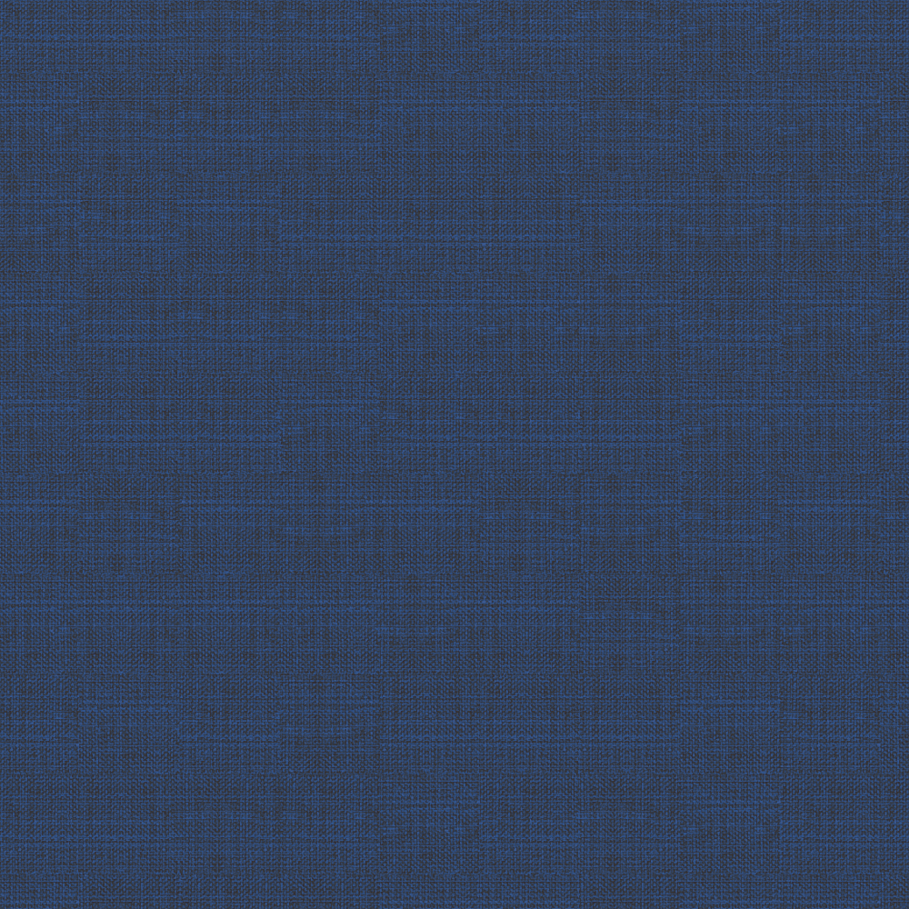 Toile Bleue
