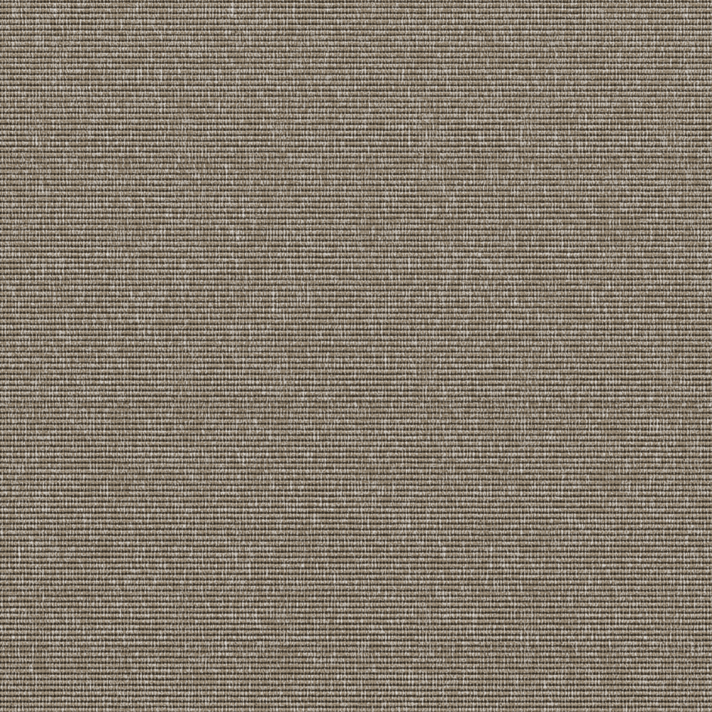 Compact Ivory sand