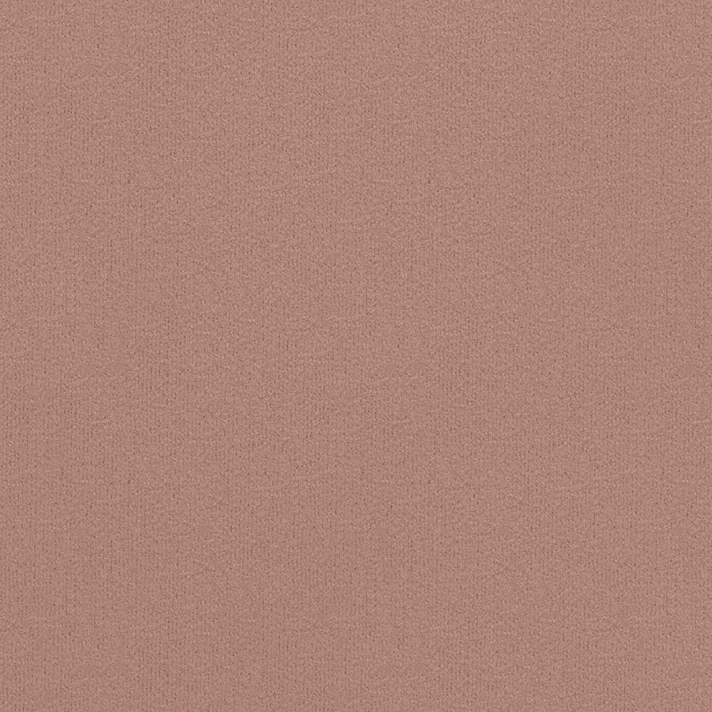 Grace Marsala rose