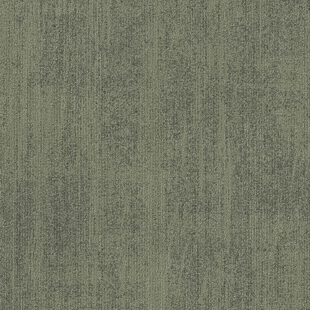 Umbra Olive