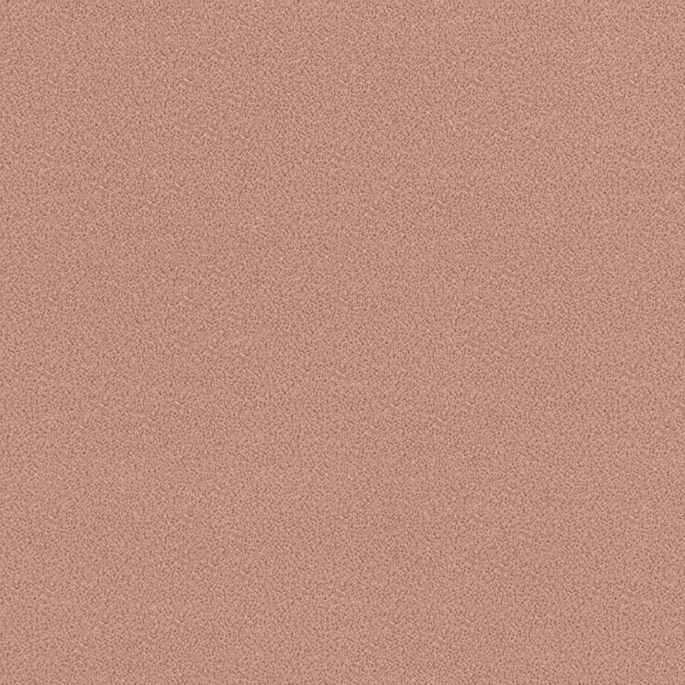 Lush Marsala rose