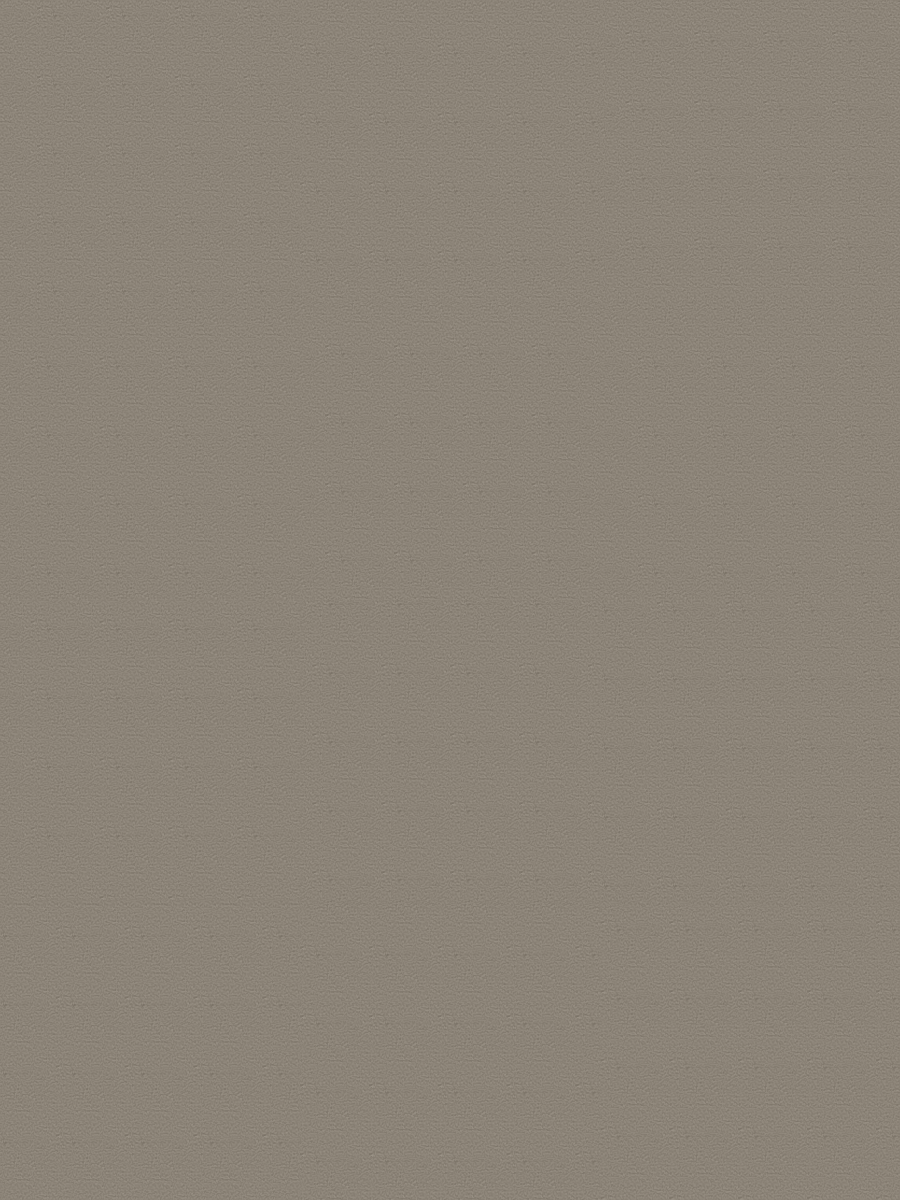 Mono 5595 Warm grey