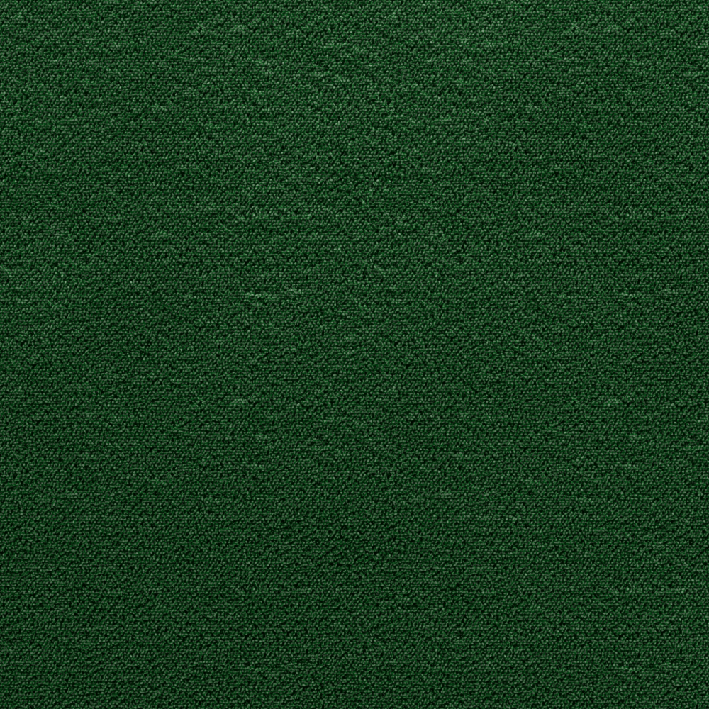 Moss Bottle green
